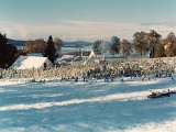 Gartneri vinter 70 åra.jpg